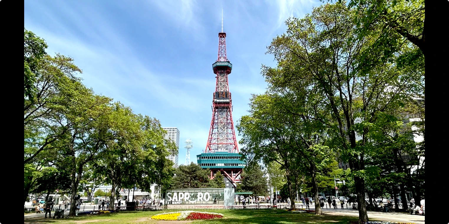 大通公園の木々越しに見るさっぽろテレビ塔